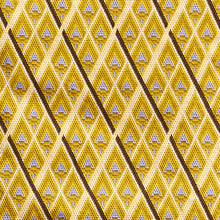 Load image into Gallery viewer, The Feathers in Yellow