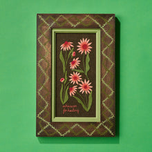 Load image into Gallery viewer, Echinacea: Refill