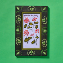 Load image into Gallery viewer, Geraniums: Refill