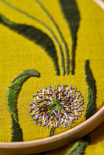 Load image into Gallery viewer, Alliums