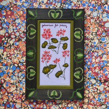 Load image into Gallery viewer, Geraniums

